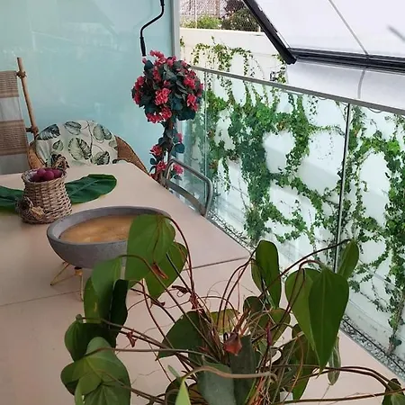 Apartment Chic With Garage San Cristobal *